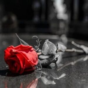 rose rouge