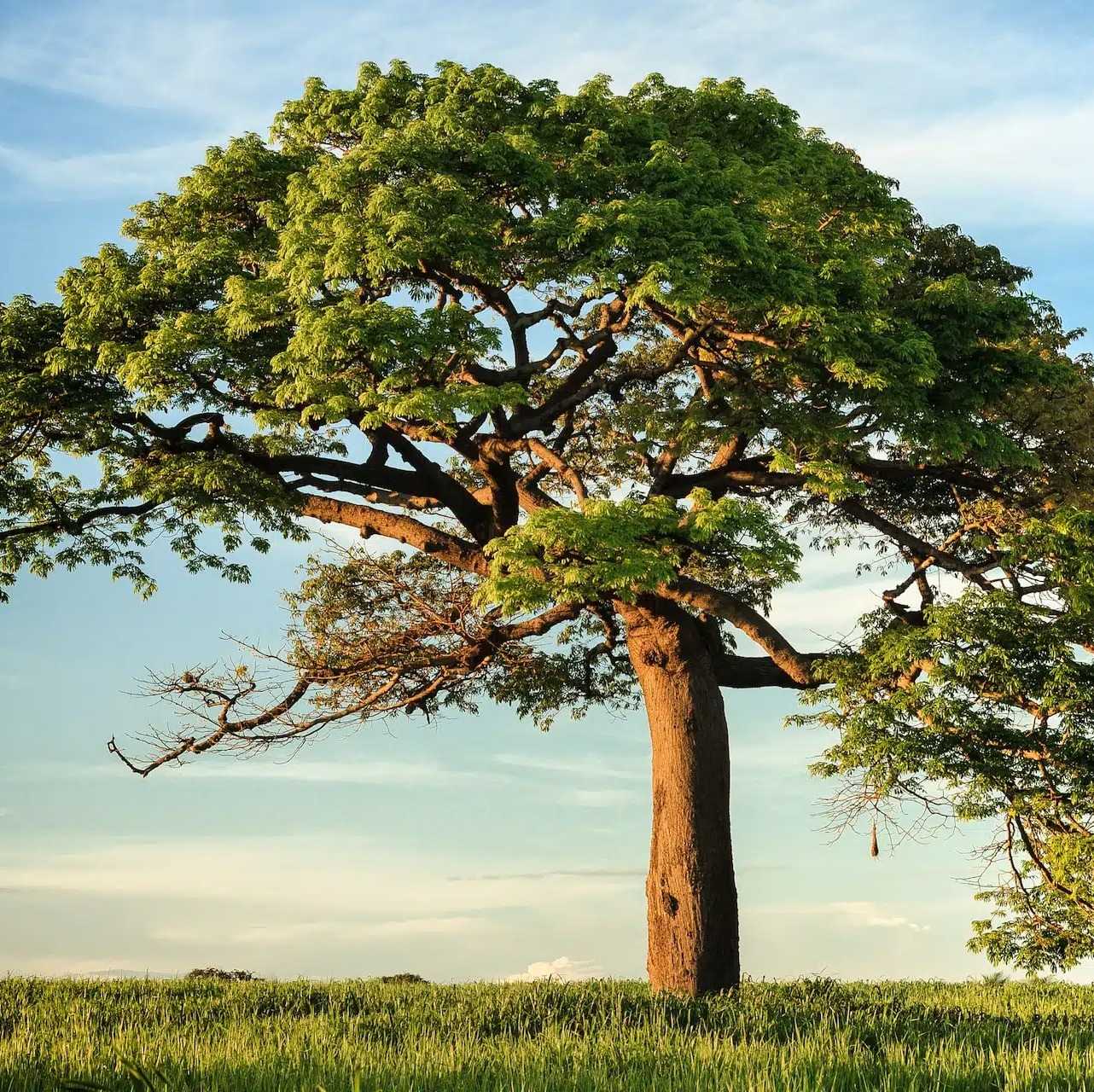 Photo de Georges PAULIEN