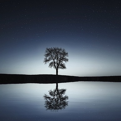 Photo de Marie-Thérèse BOST