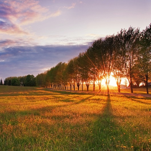 Photo de Michel VIEILLE-GIRARDET