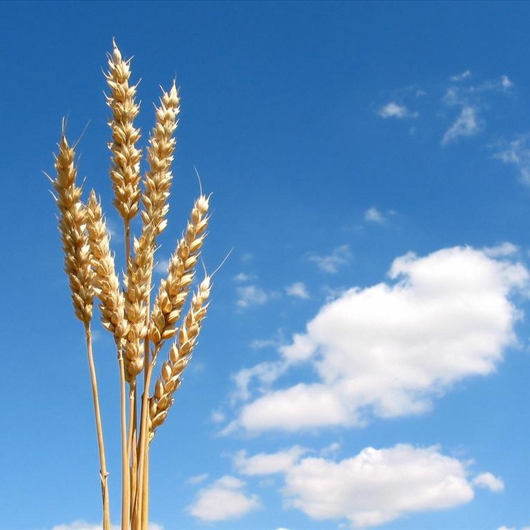 Photo d’Aimé BILLOTTET