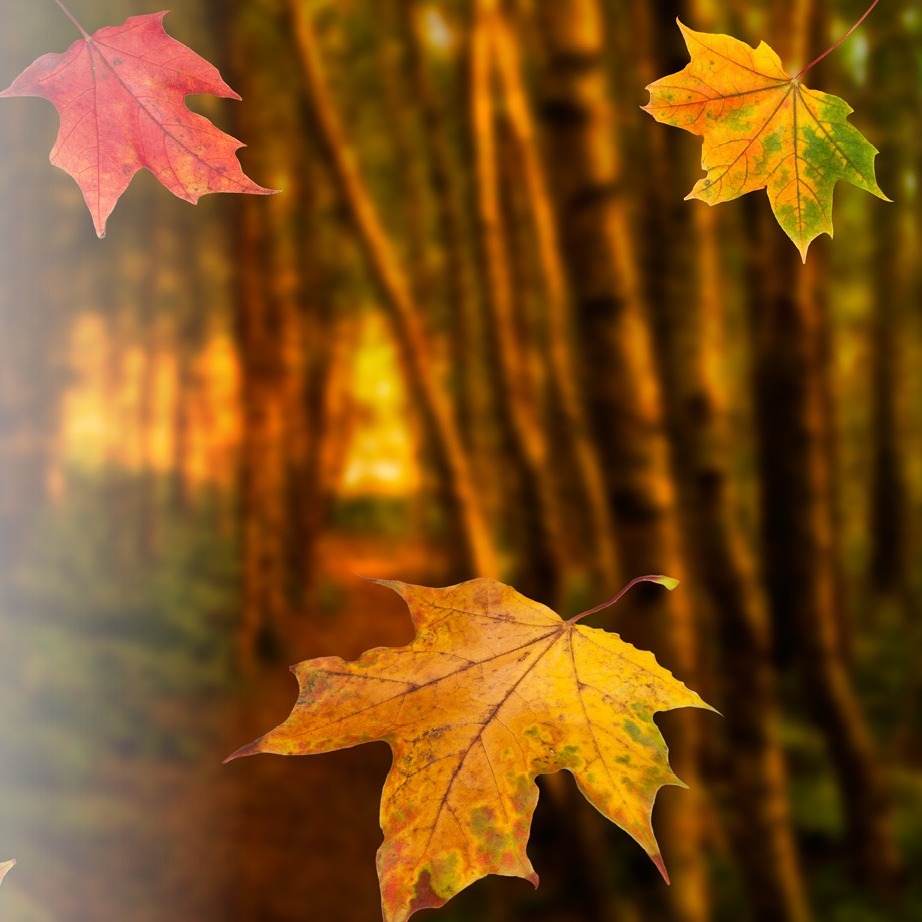 Photo de Christiane BOUARD