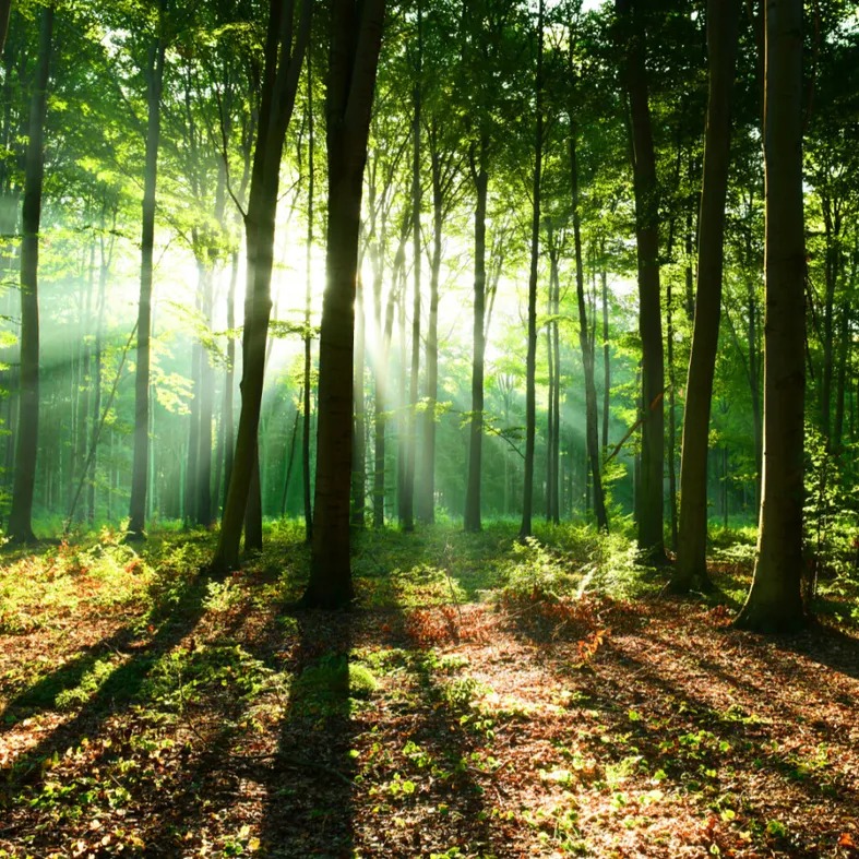 Photo de Georges GARNACHE-CREUILLOT