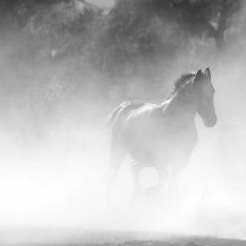 Photo de Jean GUICHARD