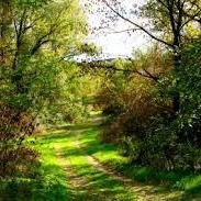 Photo de Frédéric ALZINGRE