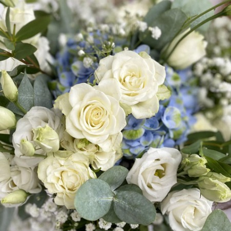 Photo de Marie MOUSSARD