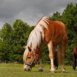 Photo de Christine GUY