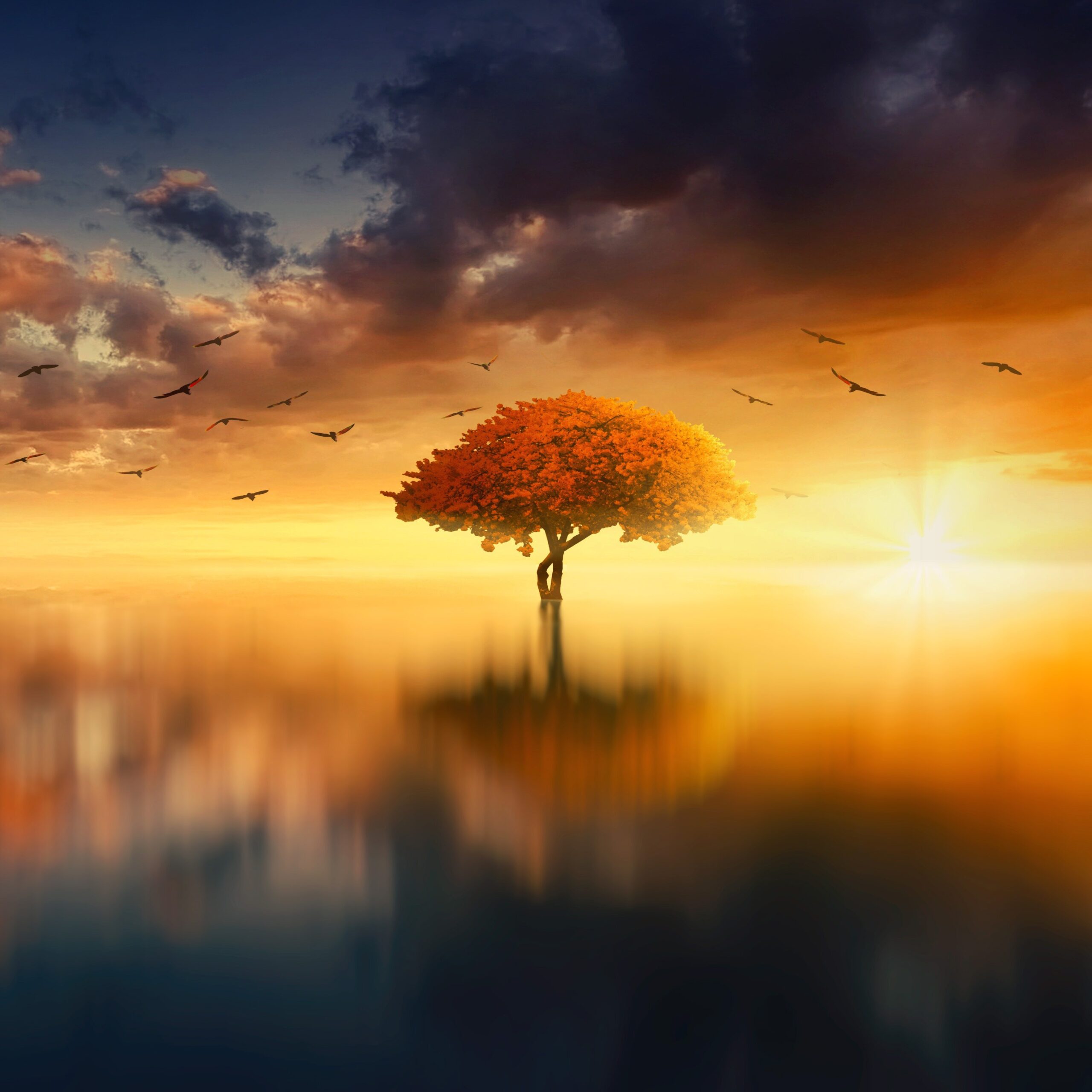 Photo de Martine NARBOUTON