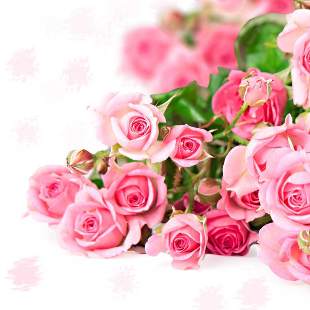 Photo de Marie-Andrée LINOTTE