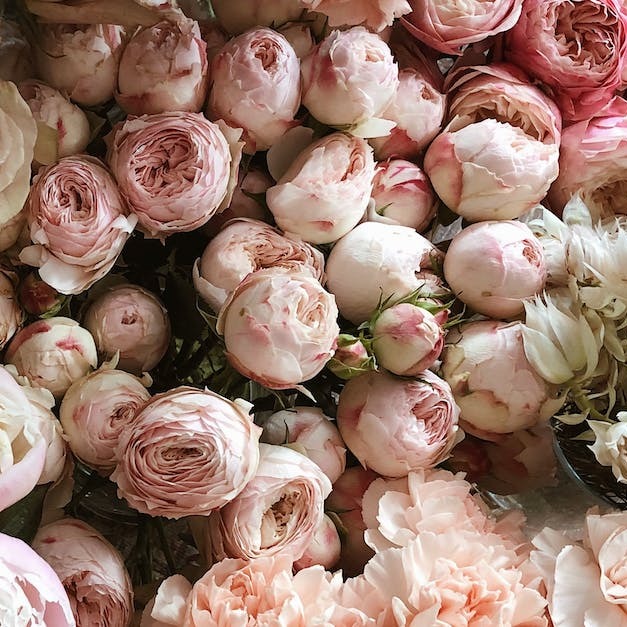 Photo de Ginette ROLLET