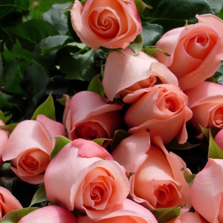 Photo de Simone Mauricette ALVAREZ