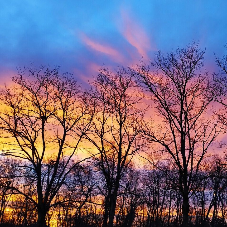 Photo de Raymonde LEJAY