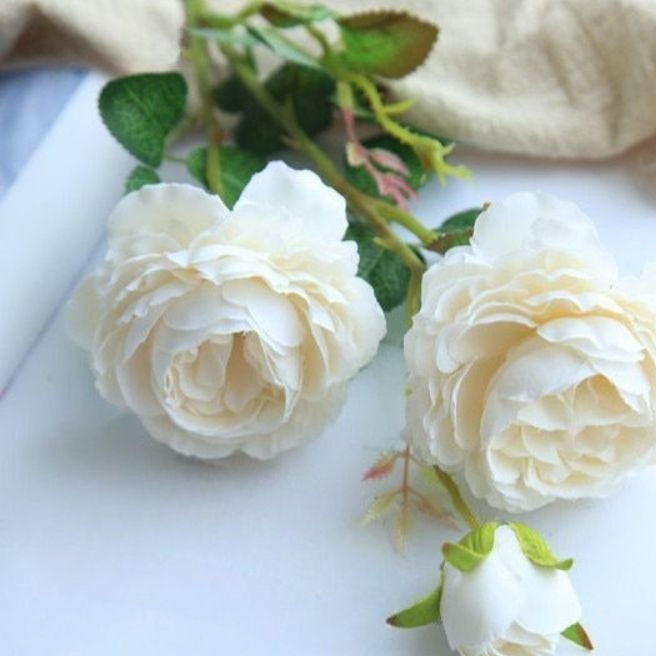 Photo d’Antoinette BARTHELEMY