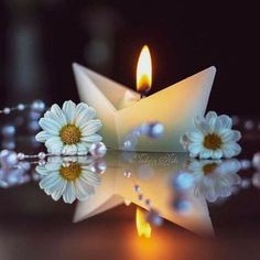 Photo d’Alain BONNET