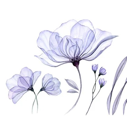 Photo de Jérome AUBERTIN