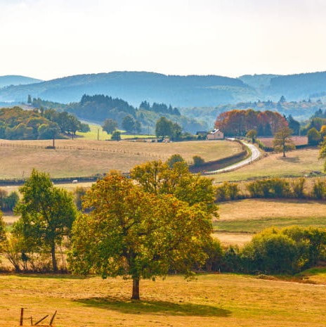 Photo de Robert JACQUOT