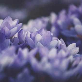 Photo de Bernard DUMONT