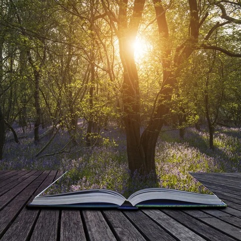 Photo de François NAGEOTTE