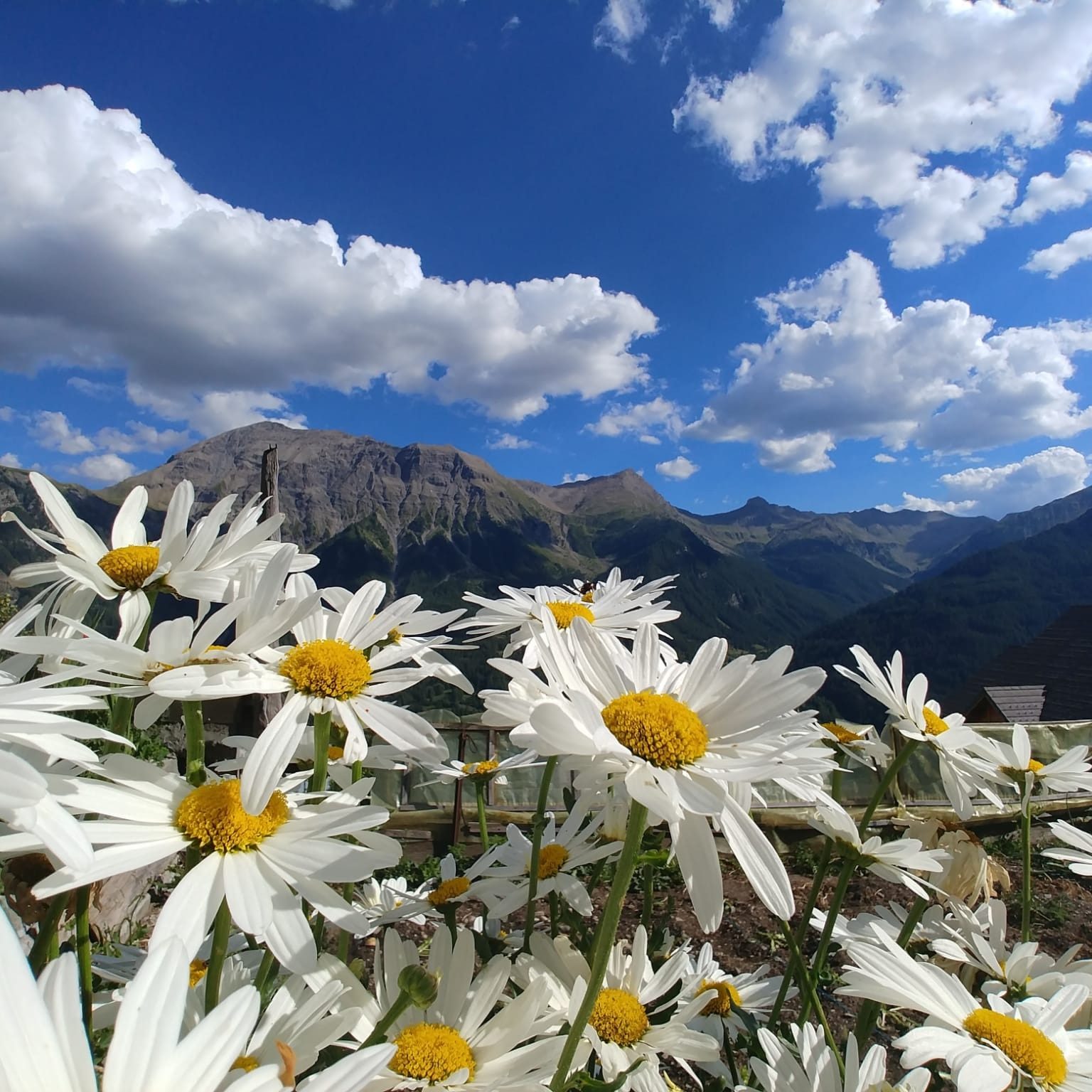 Photo de Danielle FAIVRE