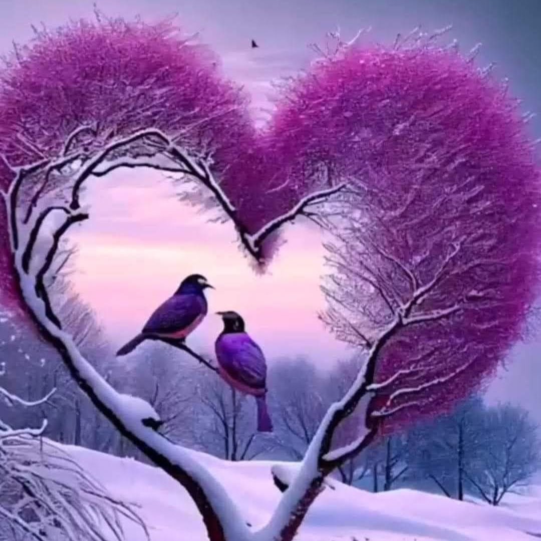 Photo de Denise SAUTIER