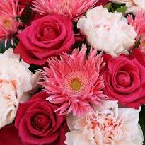 Photo de Claude SLEATOR