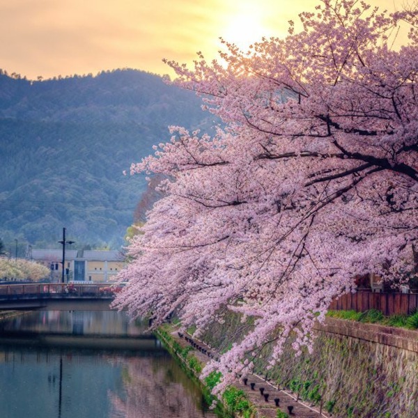 Photo de Catherine GORRIS