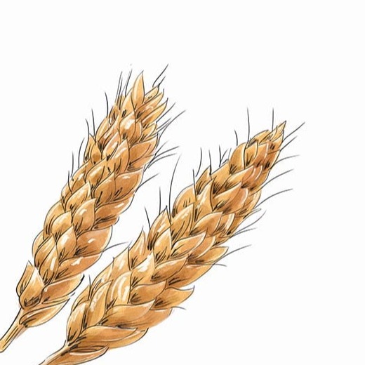 Photo de Gabriel PÉRIA