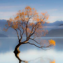 Photo d’Hervé PRETET