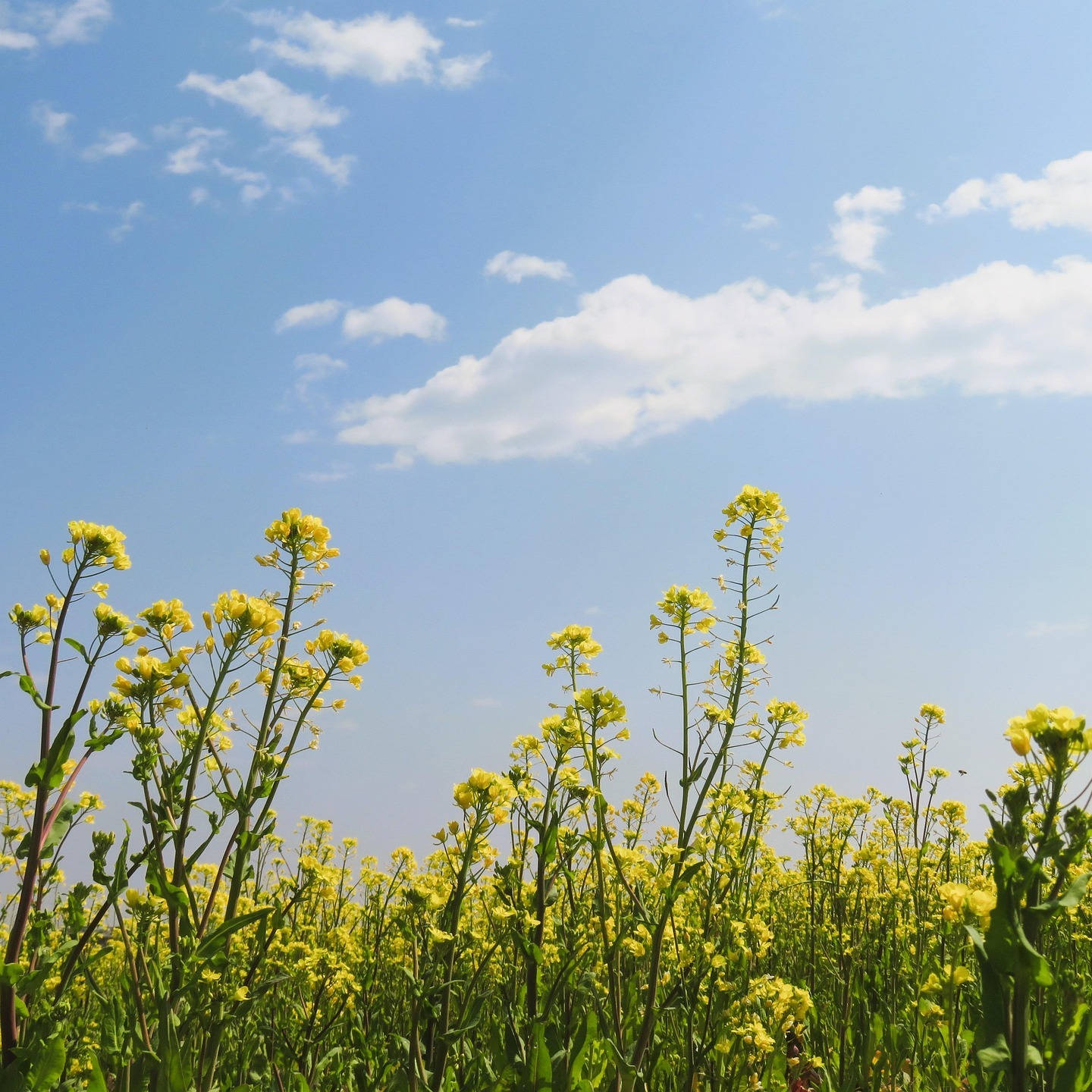 Photo d’André BAILLY