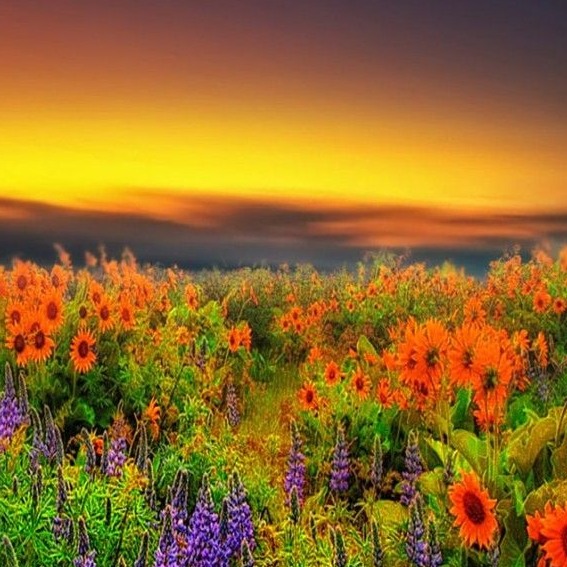 Photo de Maryse CHARPILLET