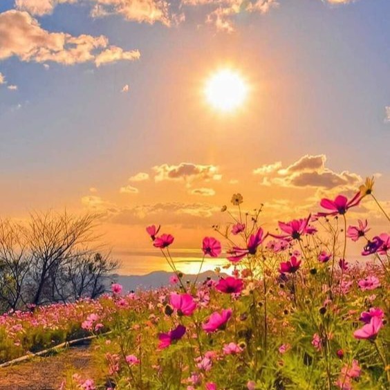 Photo de Georges GRUHIER