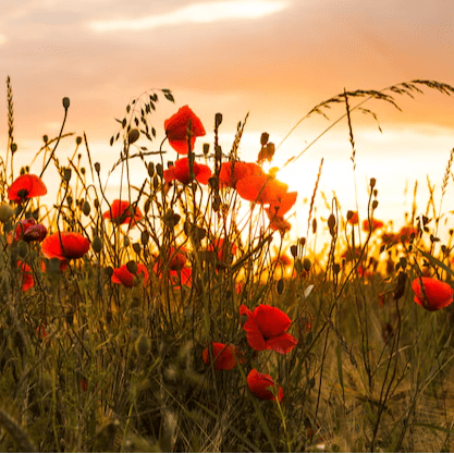 Photo d’Aimé APTEL