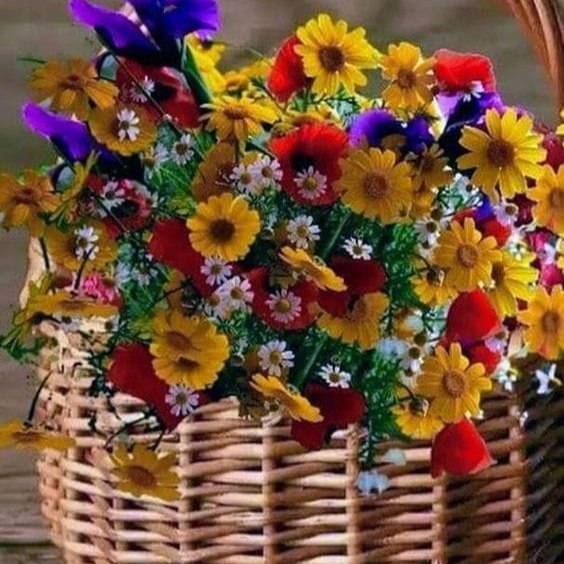 Photo de Marie-Gabrielle ROMERO