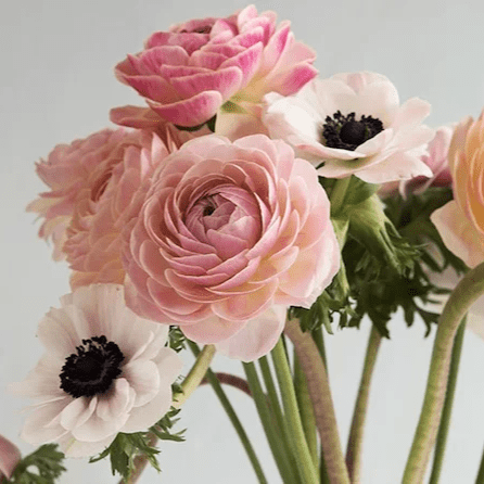 Photo de Bernard DALBARD