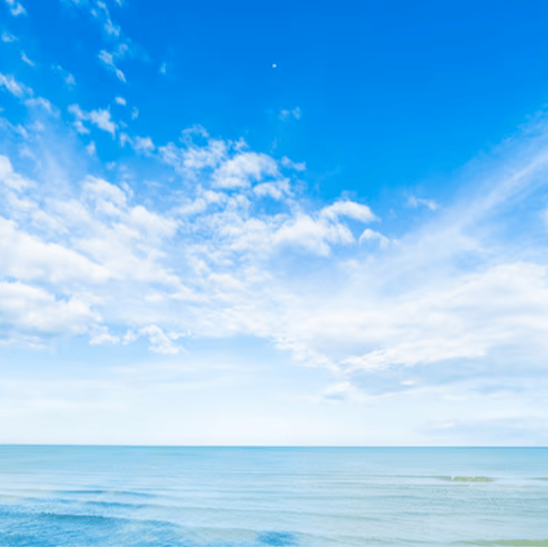 Photo de Marc DAMBRICOURT