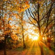 Photo de Josiane DEXEMPLE