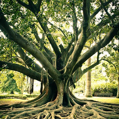 Photo d’Yves GEISSLER