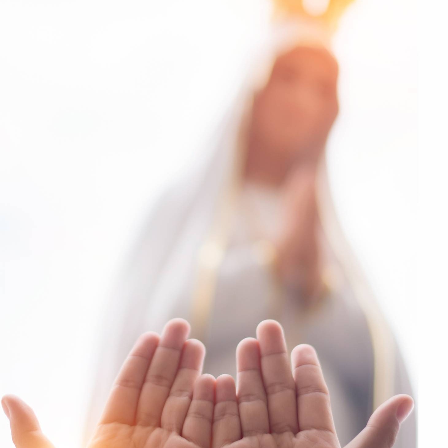 Photo d’Aurélia ROTA