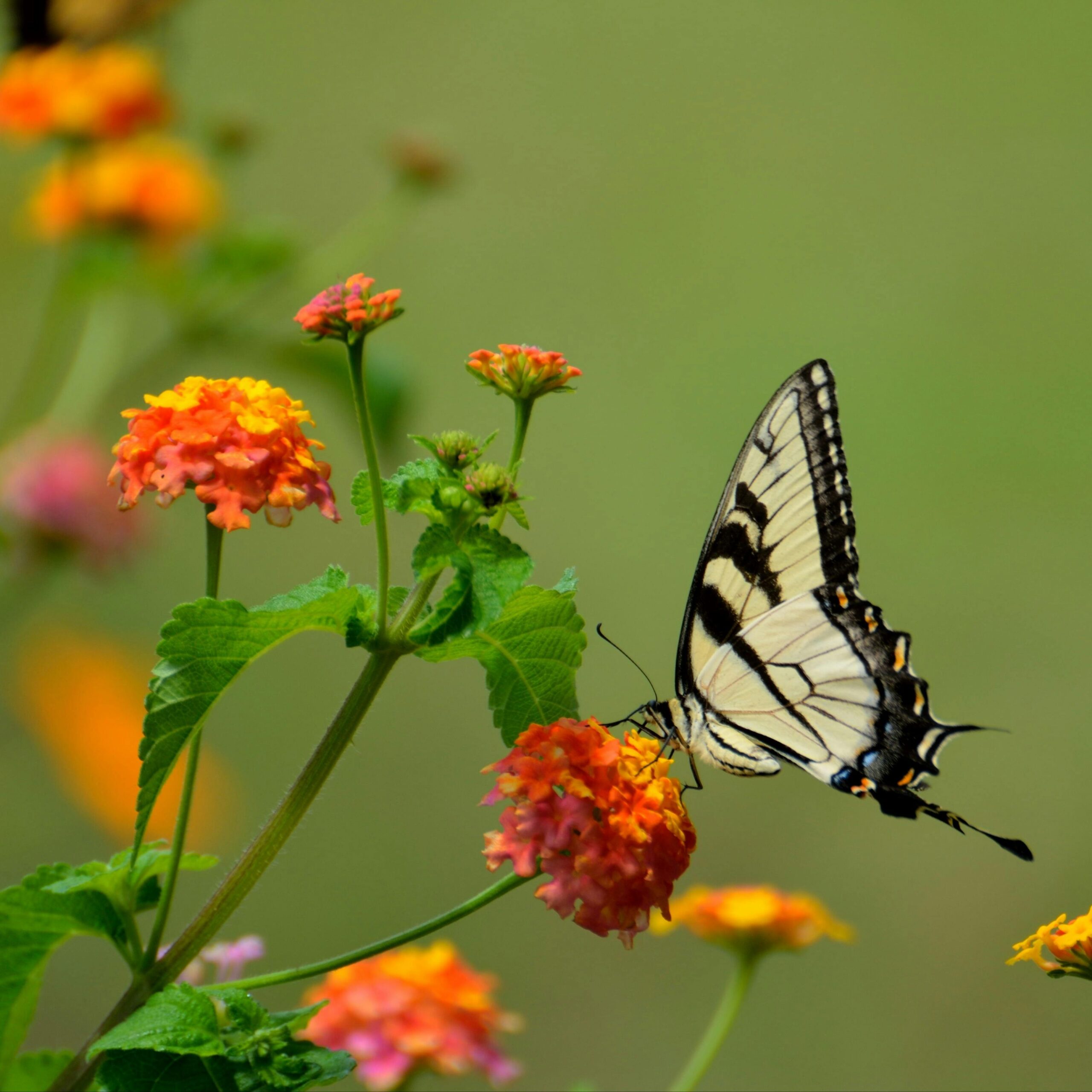 Photo de Daniel BAUD