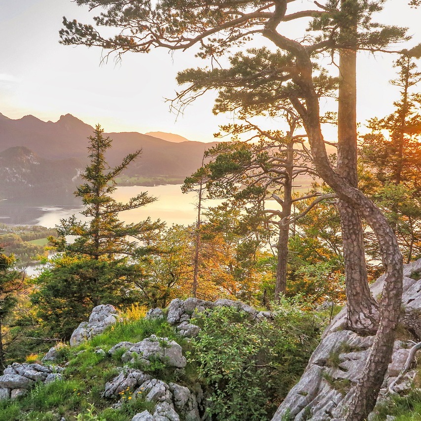 Photo d’Alain PELLISSARD