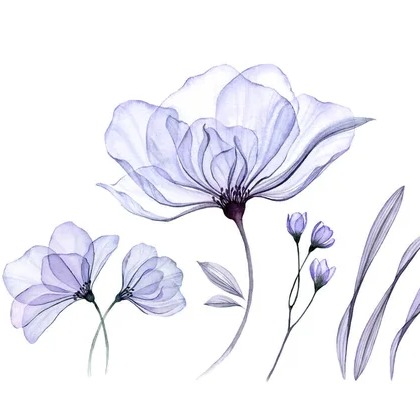 Photo de Danielle RABY