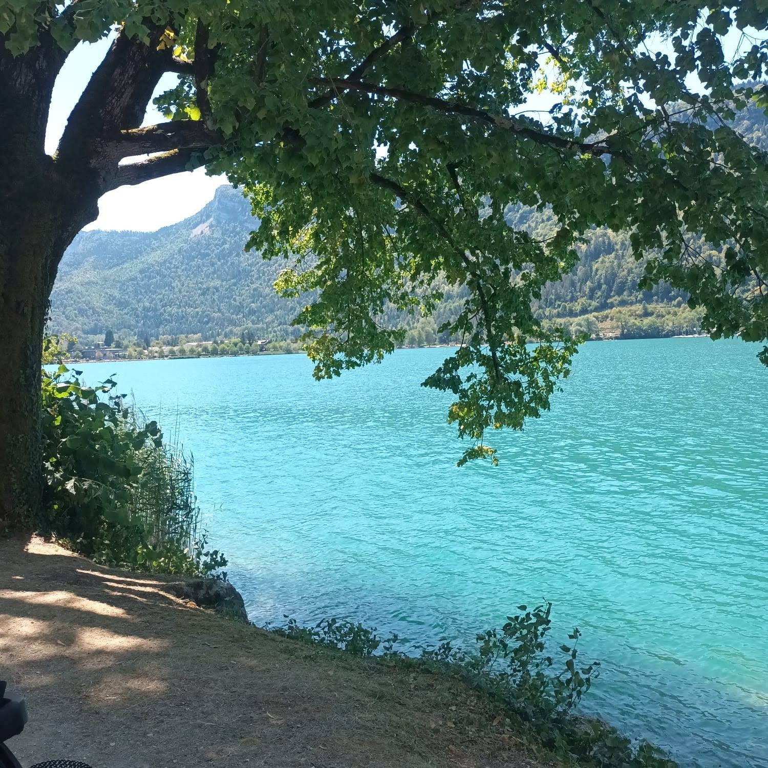 Photo de Christian BOZONET