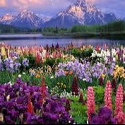 Photo de Jean-Louis GODARD