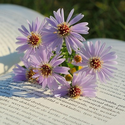 Photo de Berthe CARMILLE