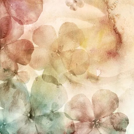 Photo de Nicole SERMET