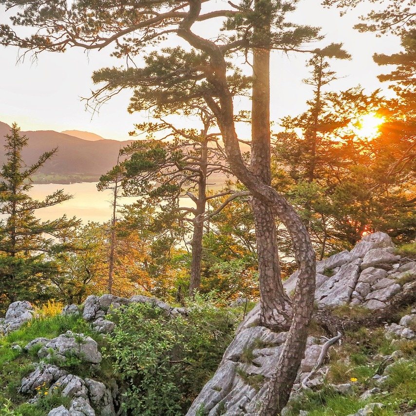 Photo de Rémi LEBLANC