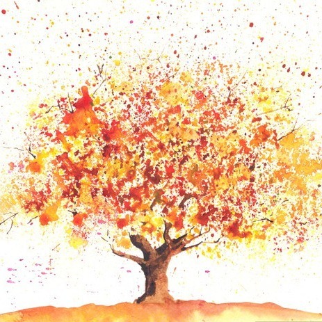 Photo de Monsieur Michel, Jean-Marie, Léon MARCOU