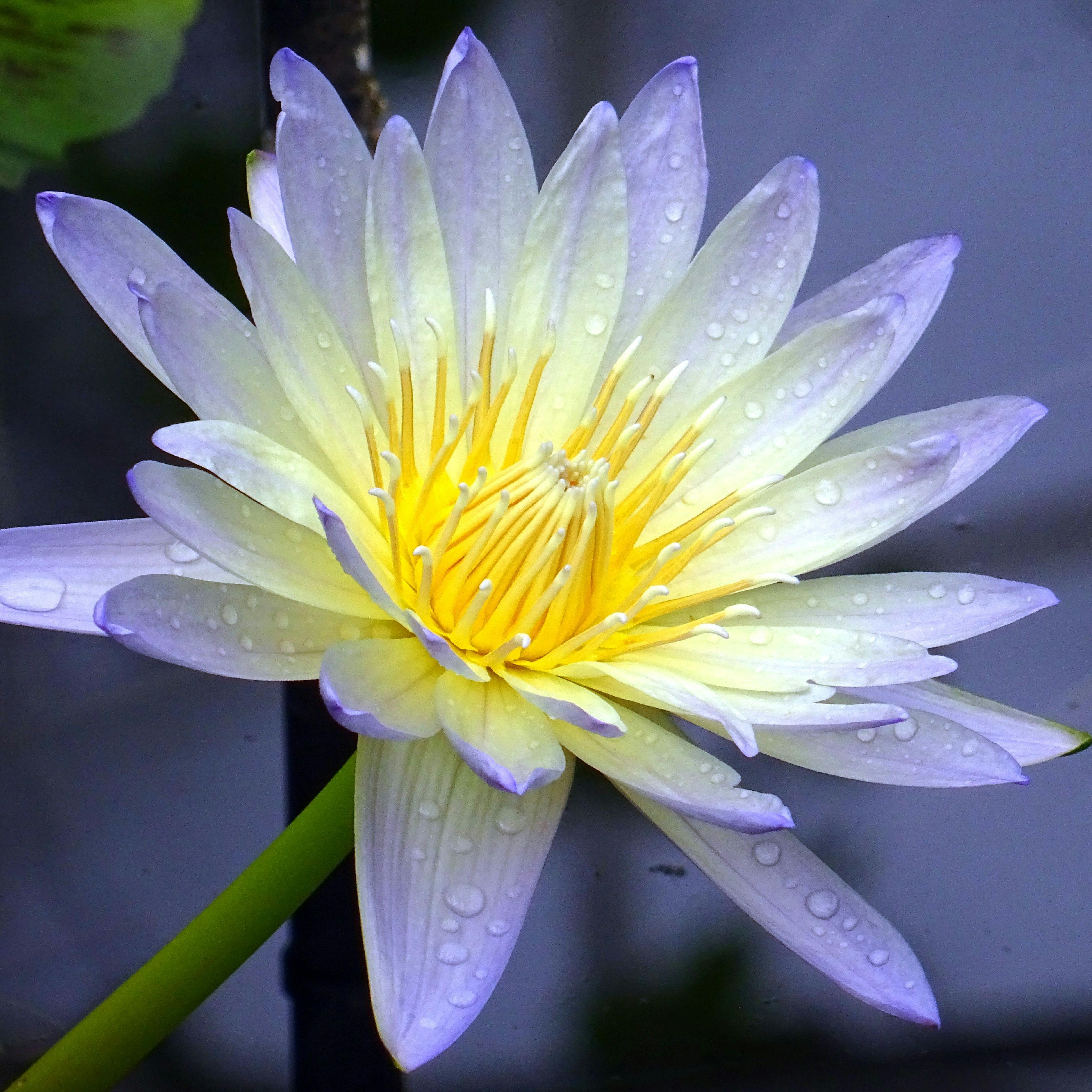 Photo de Jean-Louis MONNASSON