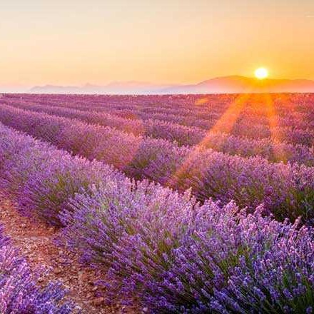 Photo d’Antonia Alexandrina FERREIRA