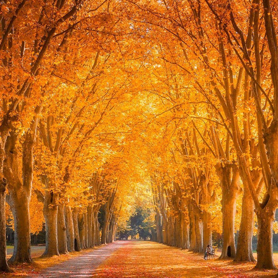 Photo d’Yvette MOREL